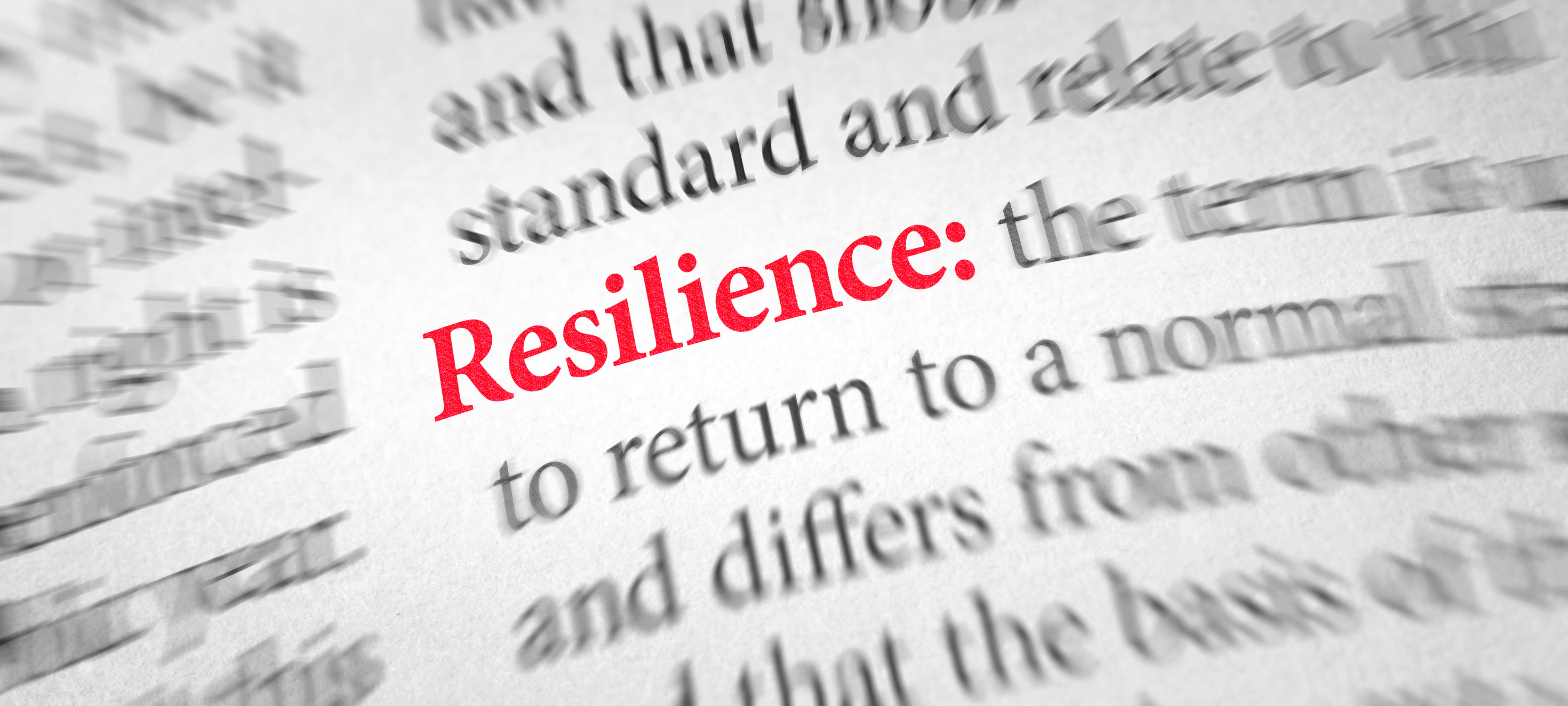 Definition of the Word Resilience in a Dictionary